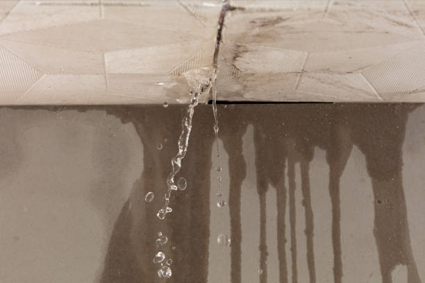 Professional Water Damage Inspection technician working in Buda, TX